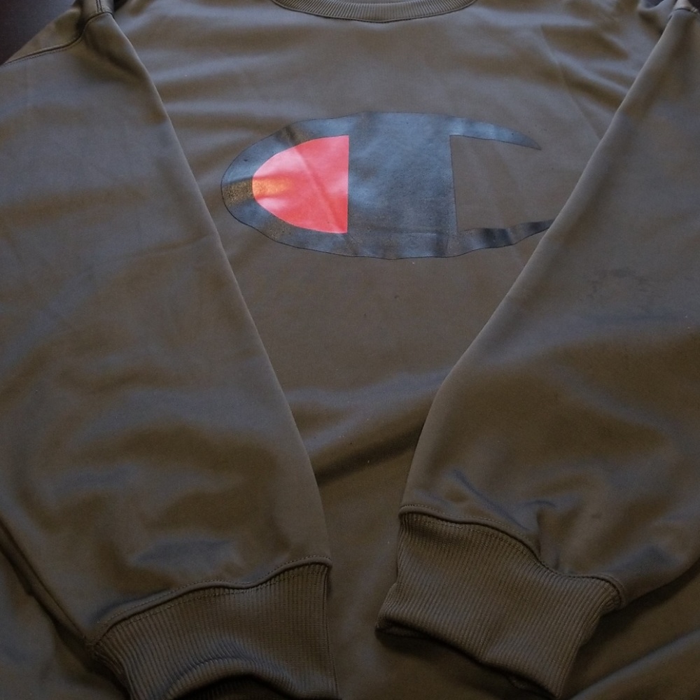 Champion sweat shirt